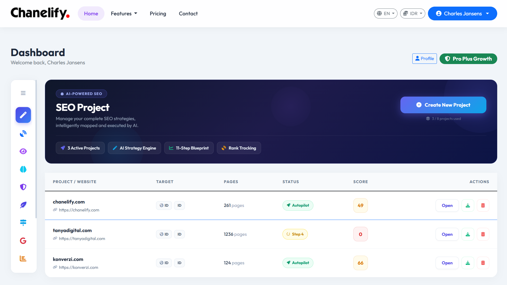 SEO Project Preview 1